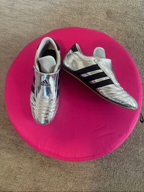 adidas Silver Metallic Athletic Shoes with Black Stripes